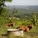 Joli Canard Badefols-d'Ans