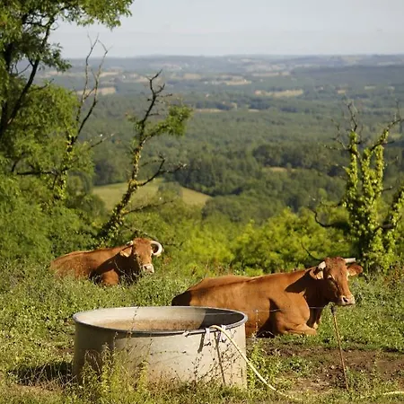 Joli Canard Badefols-d'Ans
