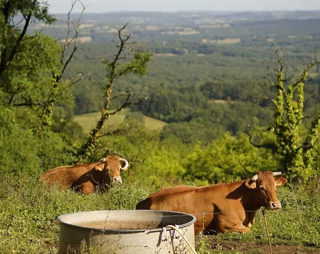 Joli Canard Badefols-d'Ans