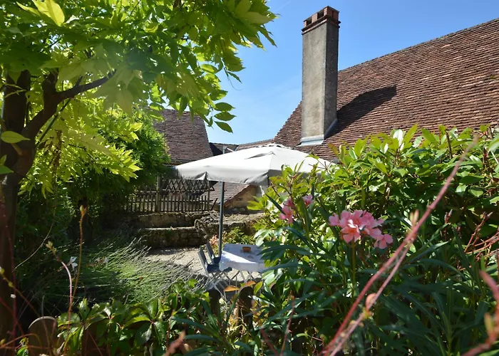 Joli Canard * Badefols-d'Ans